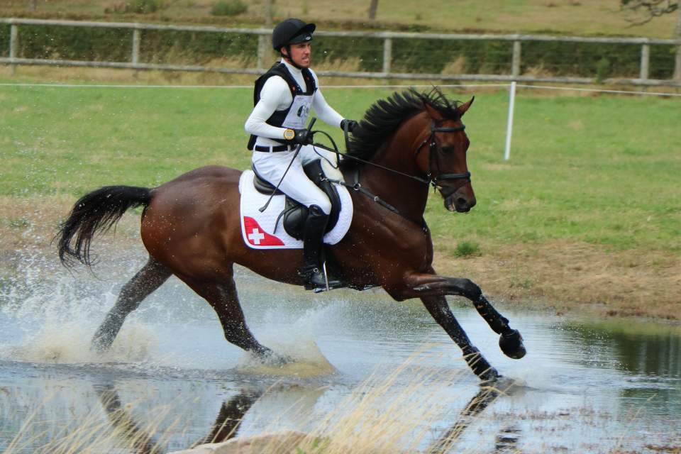 Felix Vogg, Au Grand Complet 2019, Haras du Pin